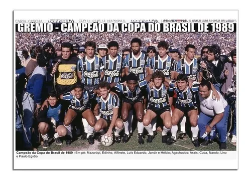 Gremio campeao Copa do Brasil 1989 Gremio campeao Copa do Brasil 1989
